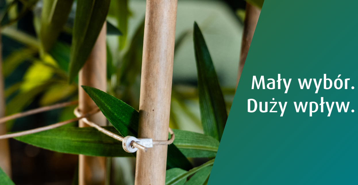 WKK wybiera FibreStrap: zrównoważone rozwiązanie